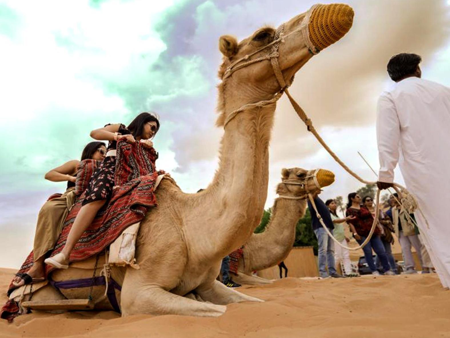 فندق مخيم واحة البدو رأس الخيمة المظهر الخارجي الصورة